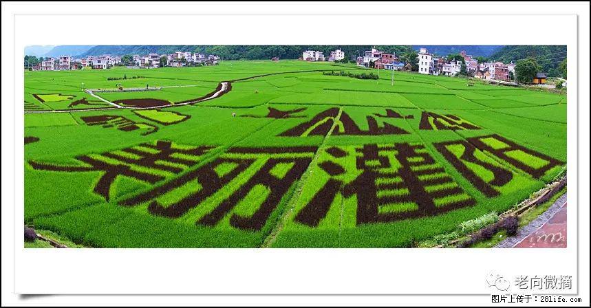 【春天,广西桂林灌阳县向您发出邀请!】开篇 - 游山玩水 - 漯河生活社区 - 漯河28生活网 luohe.28life.com