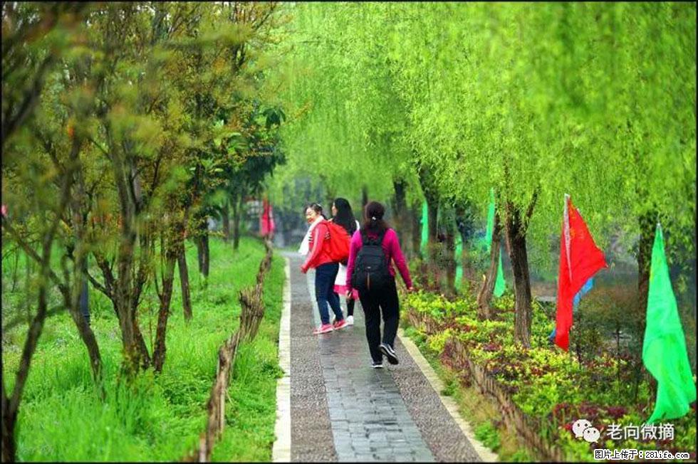 【春天，广西桂林灌阳县向您发出邀请！】江口老街又逢春 - 游山玩水 - 漯河生活社区 - 漯河28生活网 luohe.28life.com