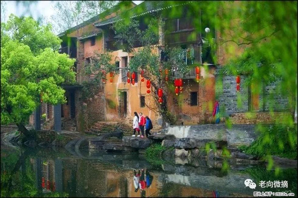 【春天，广西桂林灌阳县向您发出邀请！】江口老街又逢春 - 游山玩水 - 漯河生活社区 - 漯河28生活网 luohe.28life.com