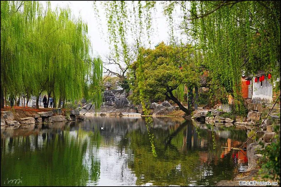 【春天，广西桂林灌阳县向您发出邀请！】江口老街又逢春 - 游山玩水 - 漯河生活社区 - 漯河28生活网 luohe.28life.com