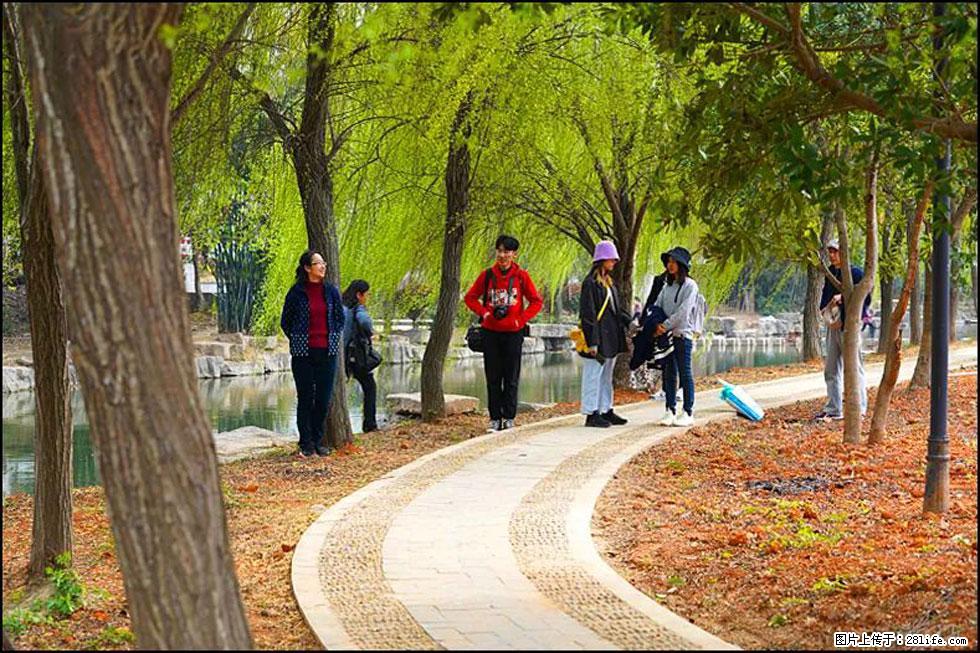 【春天，广西桂林灌阳县向您发出邀请！】江口老街又逢春 - 游山玩水 - 漯河生活社区 - 漯河28生活网 luohe.28life.com