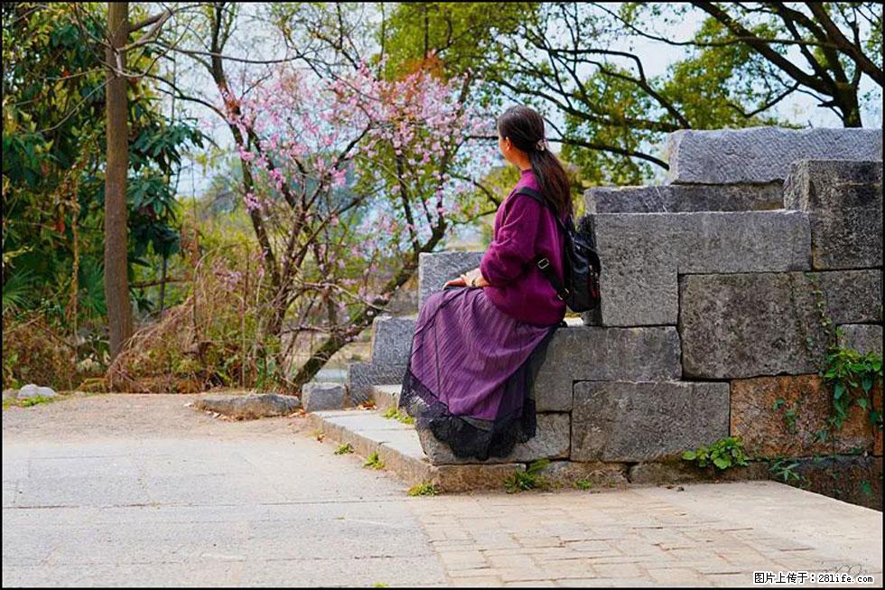 【春天，广西桂林灌阳县向您发出邀请！】江口老街又逢春 - 游山玩水 - 漯河生活社区 - 漯河28生活网 luohe.28life.com