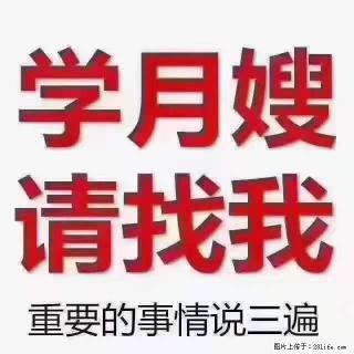 为什么要学习月嫂，育婴师？ - 漯河28生活网 luohe.28life.com