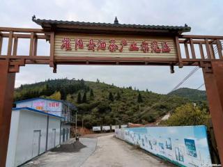 【灌阳县油茶产业示范区】一个有着充实的精神生活的人，对待身外之物自会有一种淡泊的态度 - 漯河28生活网 luohe.28life.com