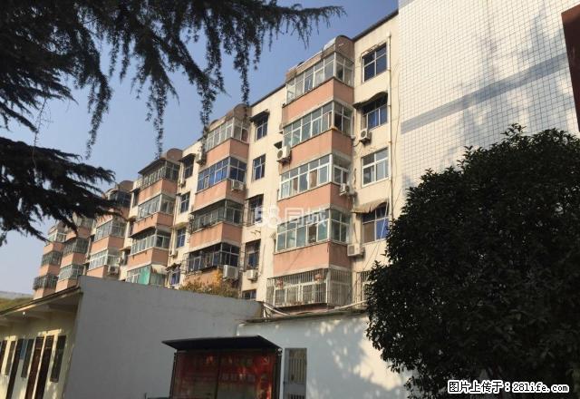 人民路漯河电视台家属院精装3室2厅1卫拎包入住 - 房屋出租 - 房屋租售 - 漯河分类信息 - 漯河28生活网 luohe.28life.com