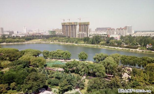 波普E墅家电梯房精装家电齐全伶包入住 - 房屋出租 - 房屋租售 - 漯河分类信息 - 漯河28生活网 luohe.28life.com