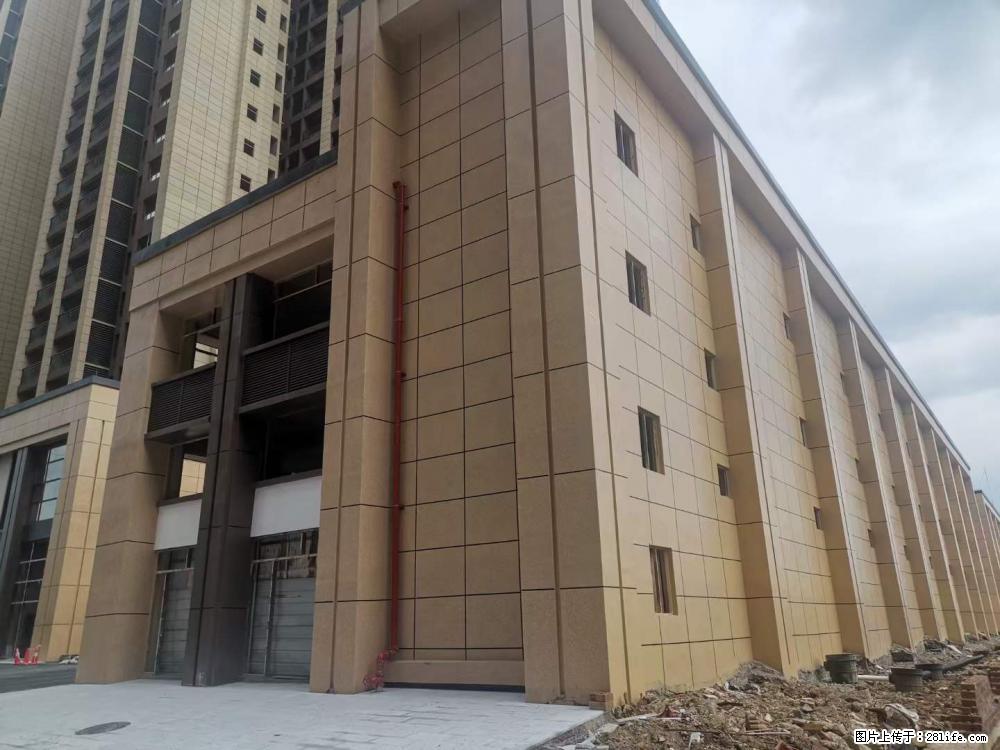 【广西三象建筑安装工程有限公司】外墙涂料工程 - 新手上路 - 漯河生活社区 - 漯河28生活网 luohe.28life.com