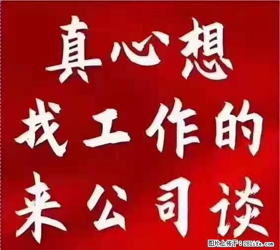 【上海】国企，医院招两名男保安，55岁以下，身高1.7米以上，无犯罪记录不良嗜好 - 职场交流 - 漯河生活社区 - 漯河28生活网 luohe.28life.com