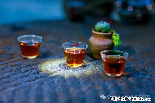 时间果百年古树2025年春红茶 - 购物交流 - 漯河生活社区 - 漯河28生活网 luohe.28life.com