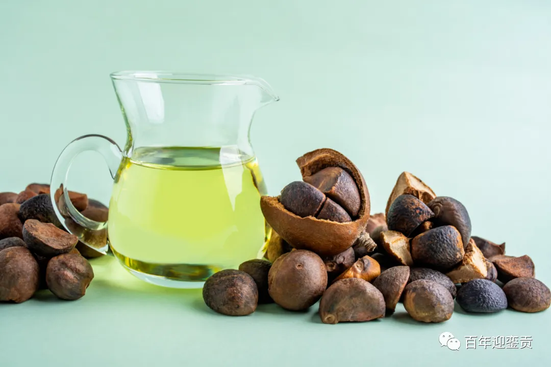 世界没有真相,只有认知,最好的食用油是中国的山茶油! - 漯河生活资讯 - 漯河28生活网 luohe.28life.com
