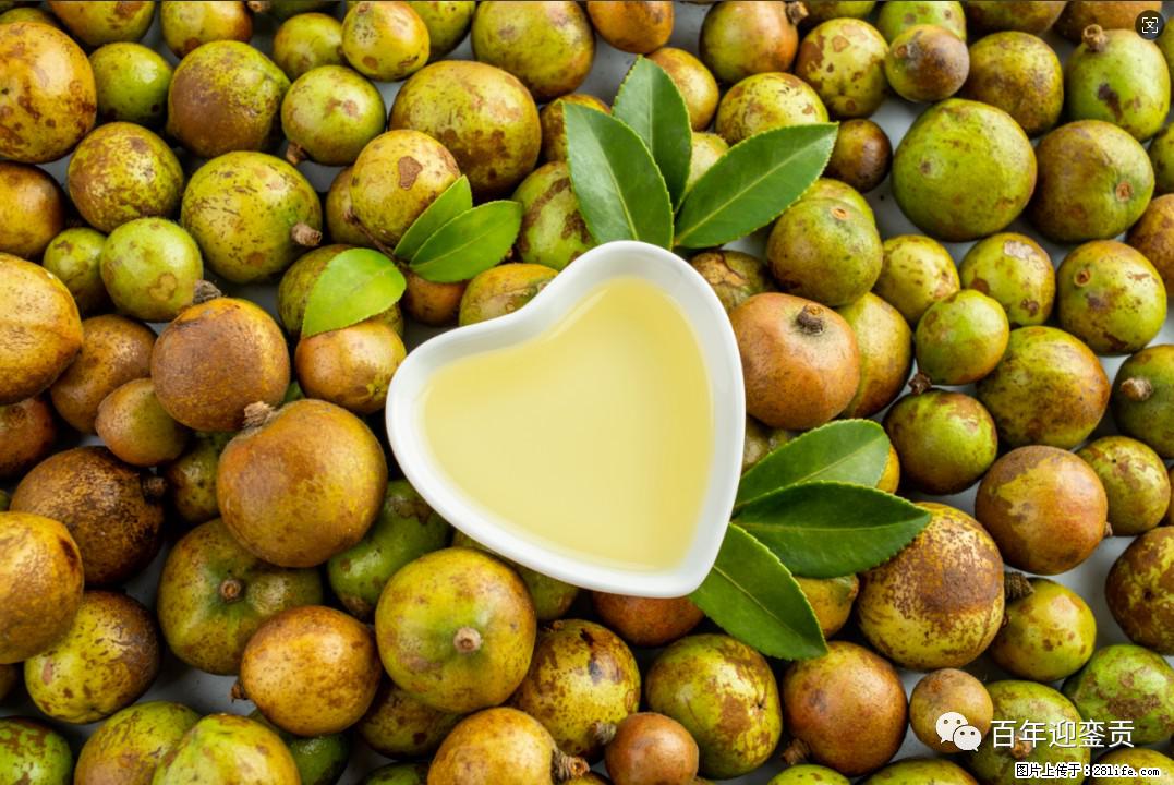 世界没有真相,只有认知,最好的食用油是中国的山茶油! - 漯河生活资讯 - 漯河28生活网 luohe.28life.com