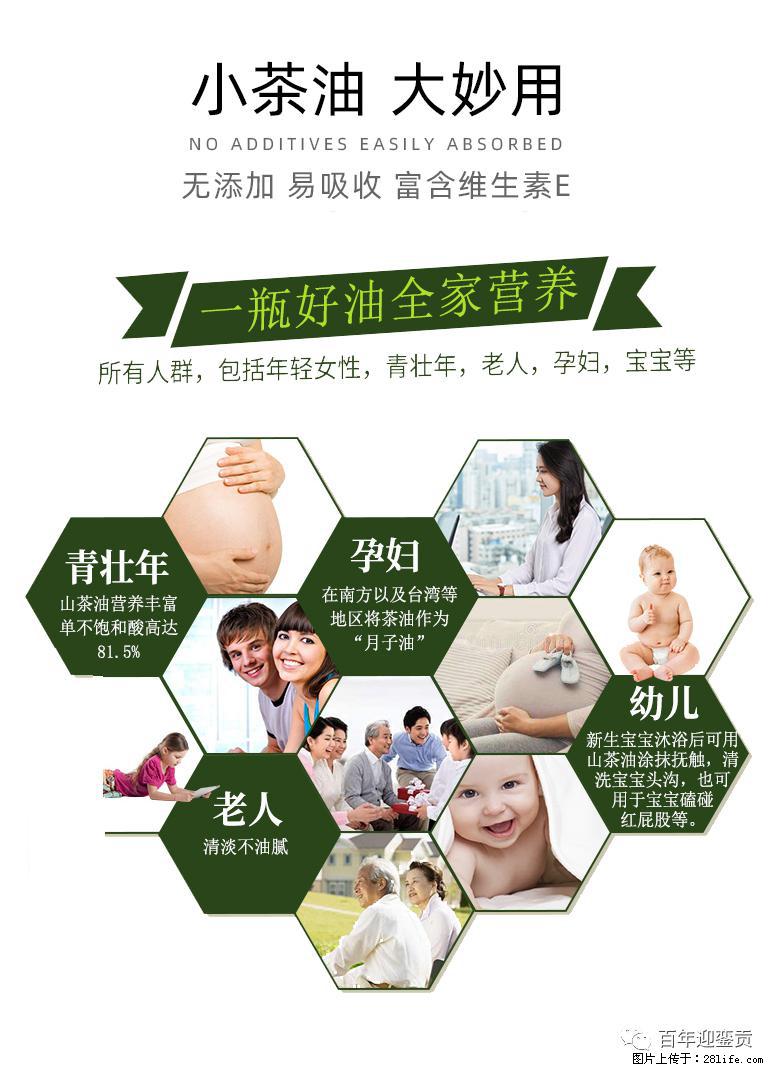 世界没有真相,只有认知,最好的食用油是中国的山茶油! - 漯河生活资讯 - 漯河28生活网 luohe.28life.com