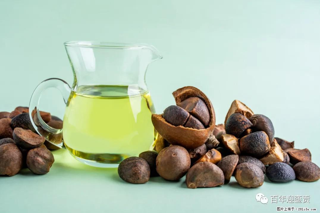 世界没有真相，只有认知，最好的食用油是中国的山茶油！ - 漯河生活资讯 - 漯河28生活网 luohe.28life.com