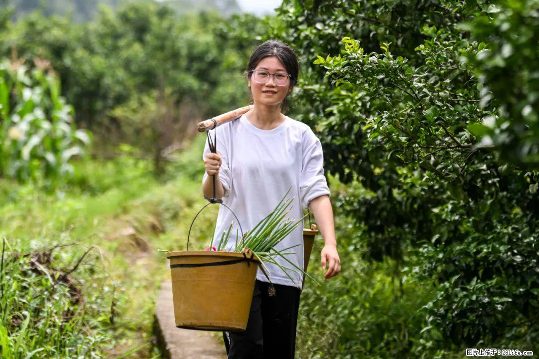 全网追的“扁担女孩”,找了一份暑假工,时薪12元 - 漯河生活资讯 - 漯河28生活网 luohe.28life.com