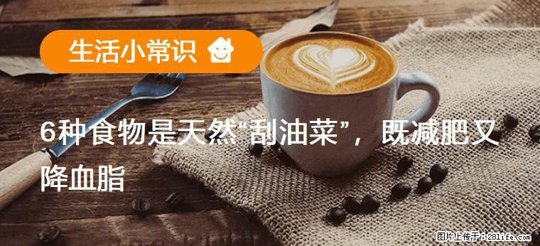 【生活小常识】6种食物是天然“刮油菜”,既减肥又降血脂 - 漯河生活资讯 - 漯河28生活网 luohe.28life.com