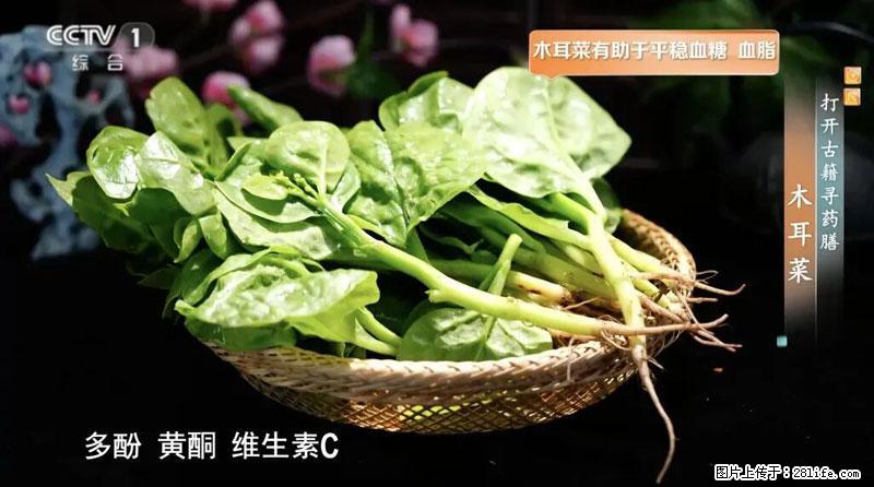 比牛奶补钙还厉害！凉血解毒、稳血糖...这菜冬天必吃，很多人却当草 - 漯河生活资讯 - 漯河28生活网 luohe.28life.com