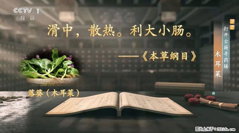 比牛奶补钙还厉害！凉血解毒、稳血糖...这菜冬天必吃，很多人却当草 - 漯河生活资讯 - 漯河28生活网 luohe.28life.com