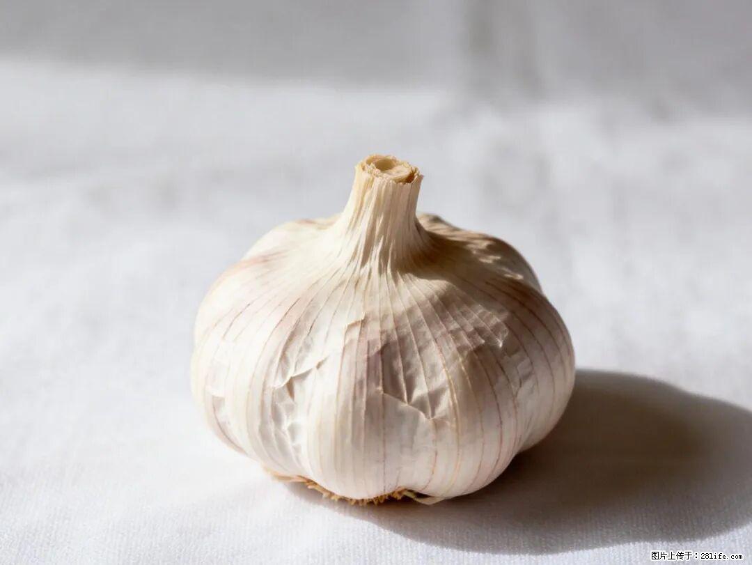 关于大蒜，除了“天然抗生素”，这4个谣言更该警惕! - 漯河生活资讯 - 漯河28生活网 luohe.28life.com