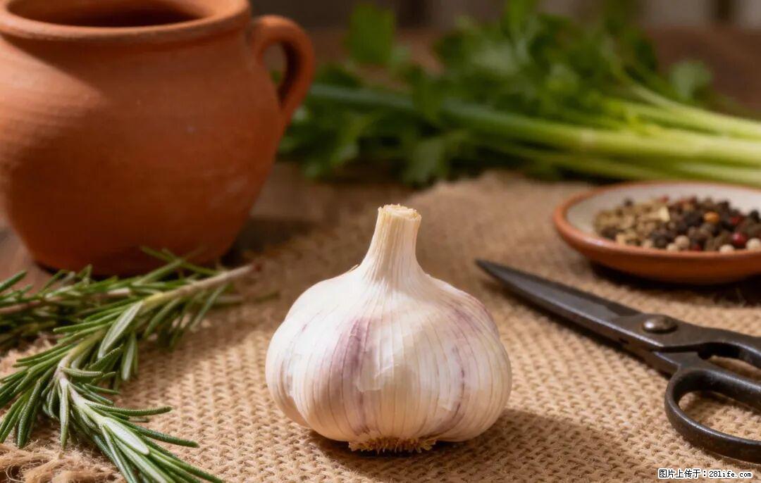 关于大蒜，除了“天然抗生素”，这4个谣言更该警惕! - 漯河生活资讯 - 漯河28生活网 luohe.28life.com