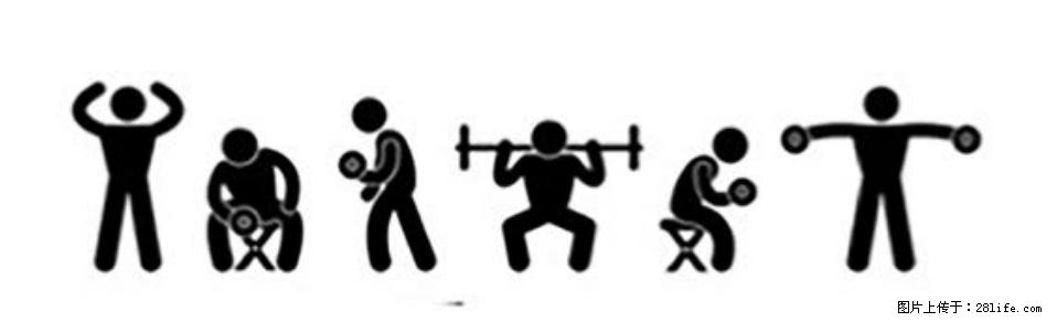 坚持这种运动6个月，心脏有了显著变化！不是跑步，也不是走路 - 漯河生活资讯 - 漯河28生活网 luohe.28life.com