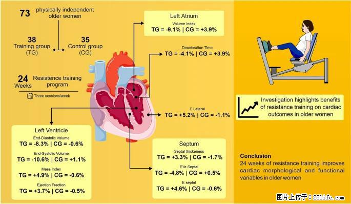 坚持这种运动6个月，心脏有了显著变化！不是跑步，也不是走路 - 漯河生活资讯 - 漯河28生活网 luohe.28life.com