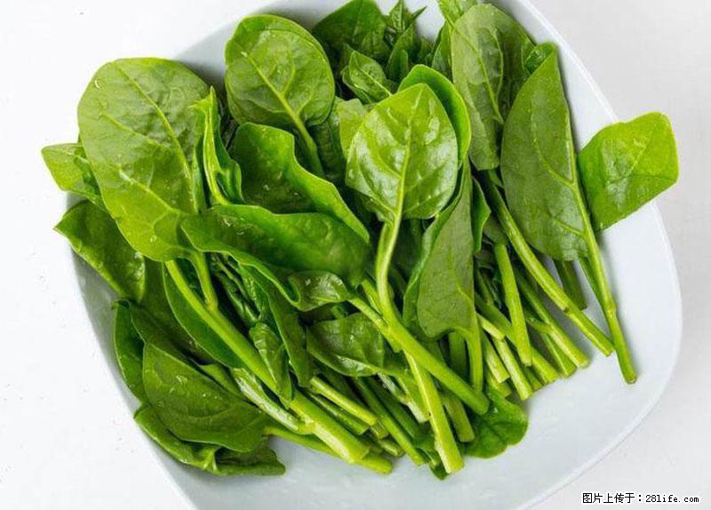 这些蔬菜是“天然钙片”,这6种被医生重点推荐 - 漯河生活资讯 - 漯河28生活网 luohe.28life.com