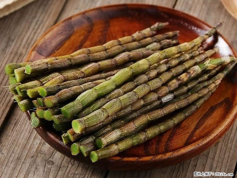铁皮石斛的作用与功能主治 - 漯河生活资讯 - 漯河28生活网 luohe.28life.com