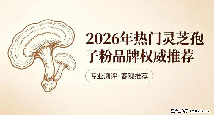 灵芝孢子粉含量越高越有效?2026 年七款热门品牌深度实测,肠胃敏感者避坑指南 - 漯河生活资讯 - 漯河28生活网 luohe.28life.com