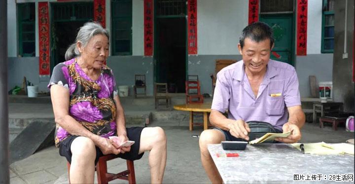 【乡村振兴】广西桂林市灌阳县文市蜂糖李、黄金奈李迎丰产上市季 甜蜜产业助振兴 - 漯河生活资讯 - 漯河28生活网 luohe.28life.com