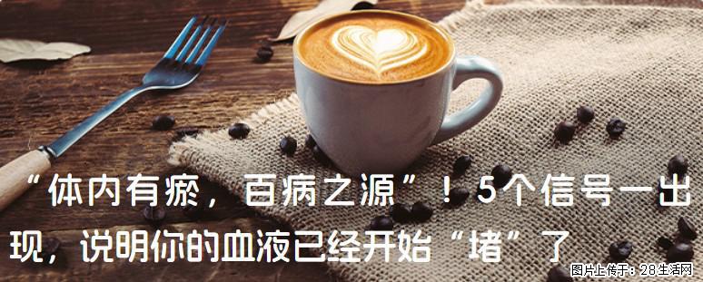 “体内有瘀,百病之源”!5个信号一出现,说明你的血液已经开始“堵”了 - 漯河生活资讯 - 漯河28生活网 luohe.28life.com